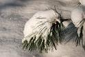 2010-12-02, Neuschnee (19)